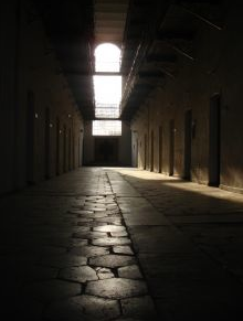 picture-11